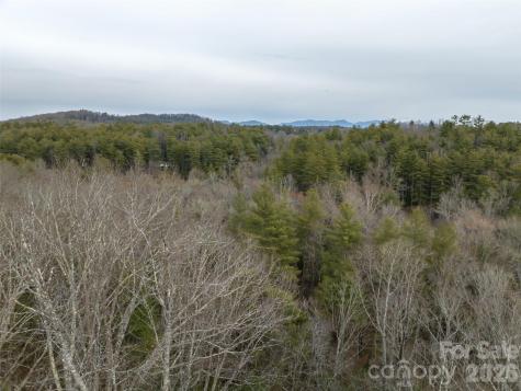 9999 Cedar Hill Drive Asheville NC 28803