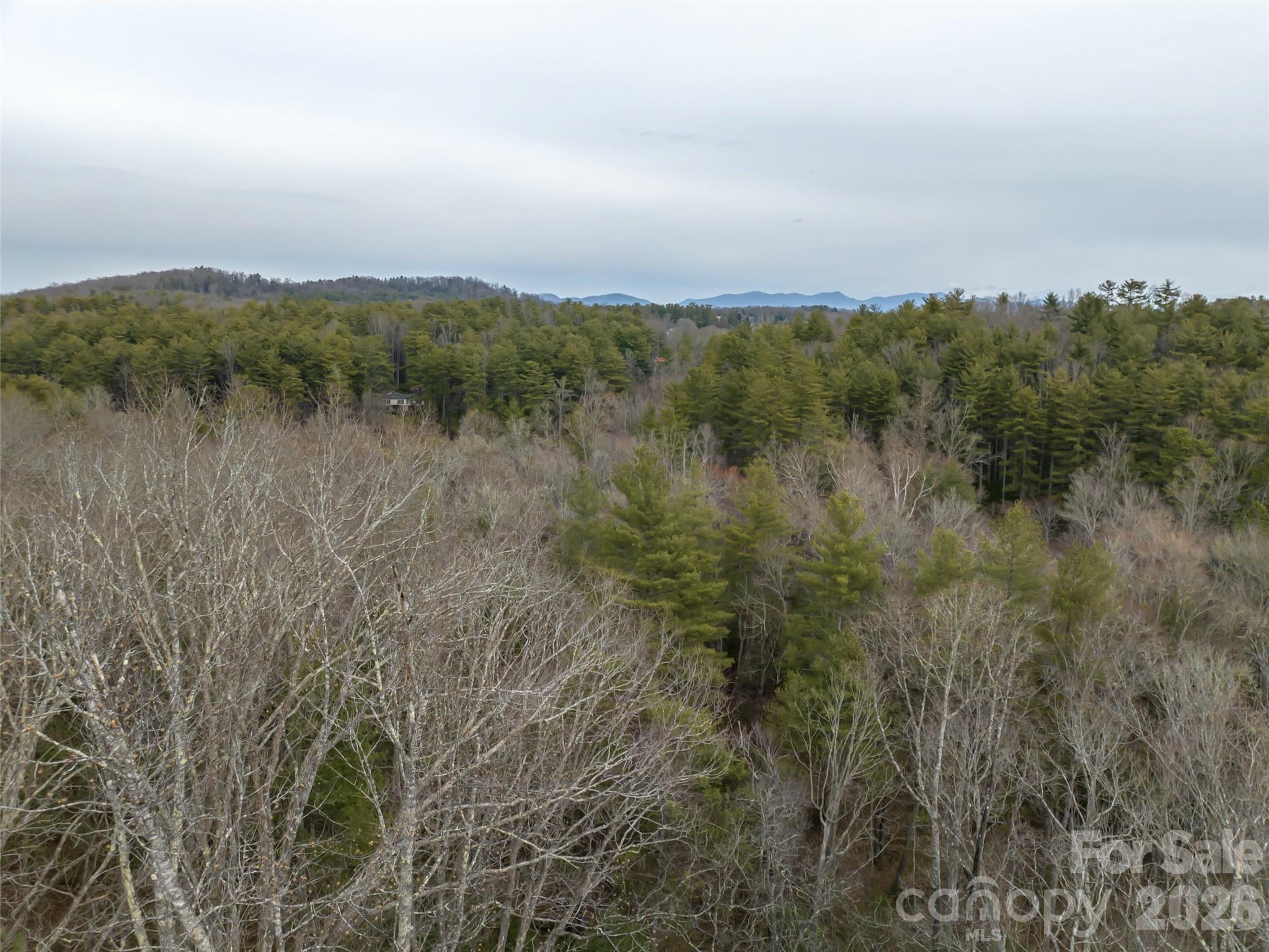 9999 Cedar Hill Drive Asheville NC 28803