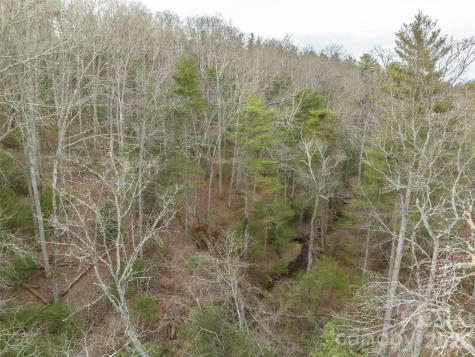 9999 Cedar Hill Drive Asheville NC 28803