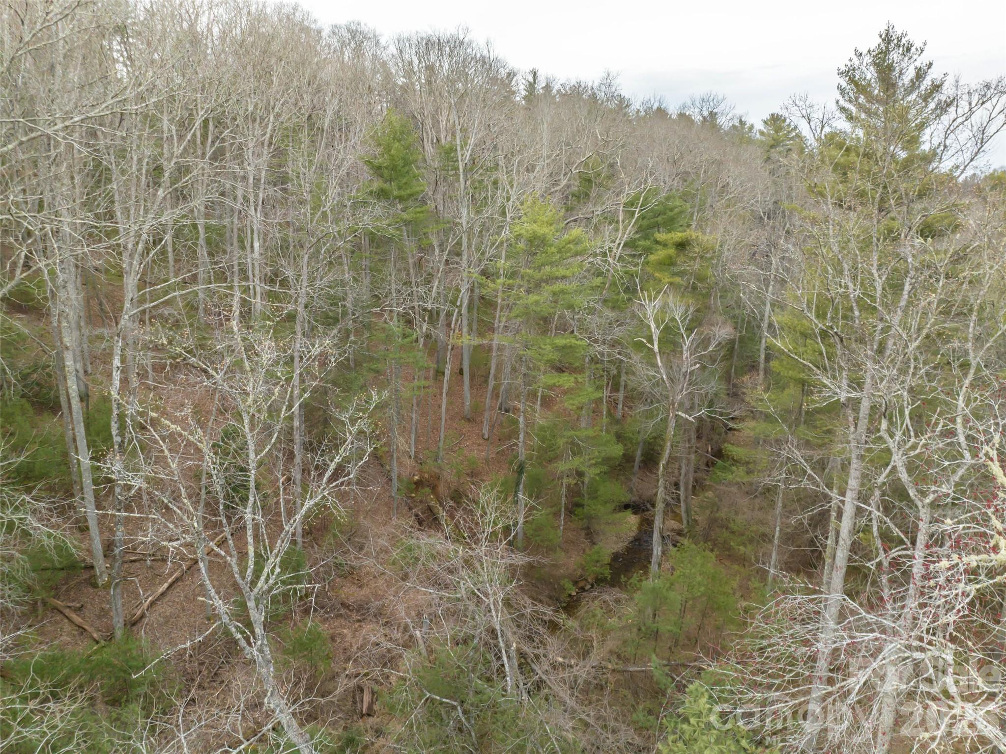 9999 Cedar Hill Drive Asheville NC 28803