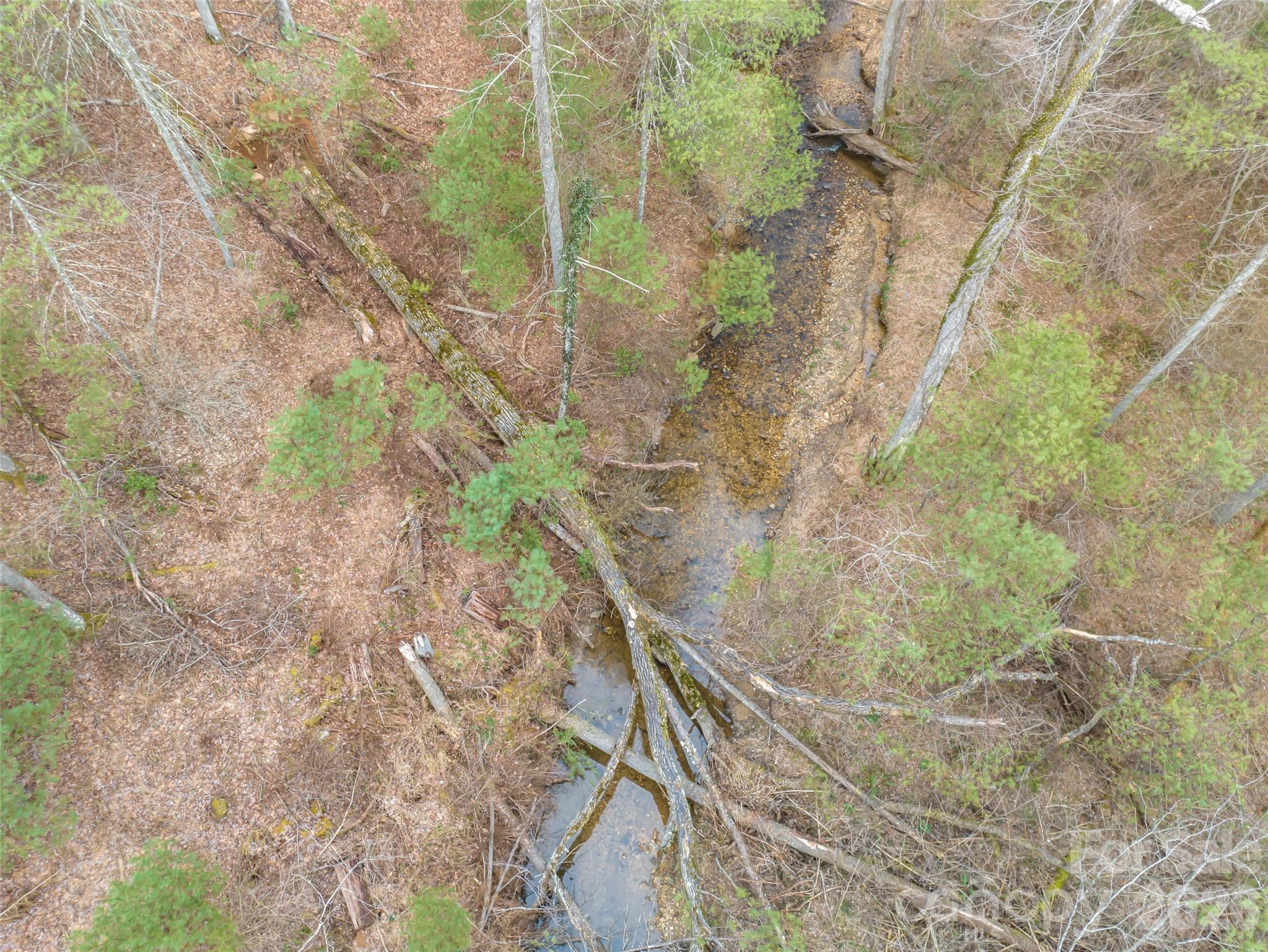 9999 Cedar Hill Drive Asheville NC 28803