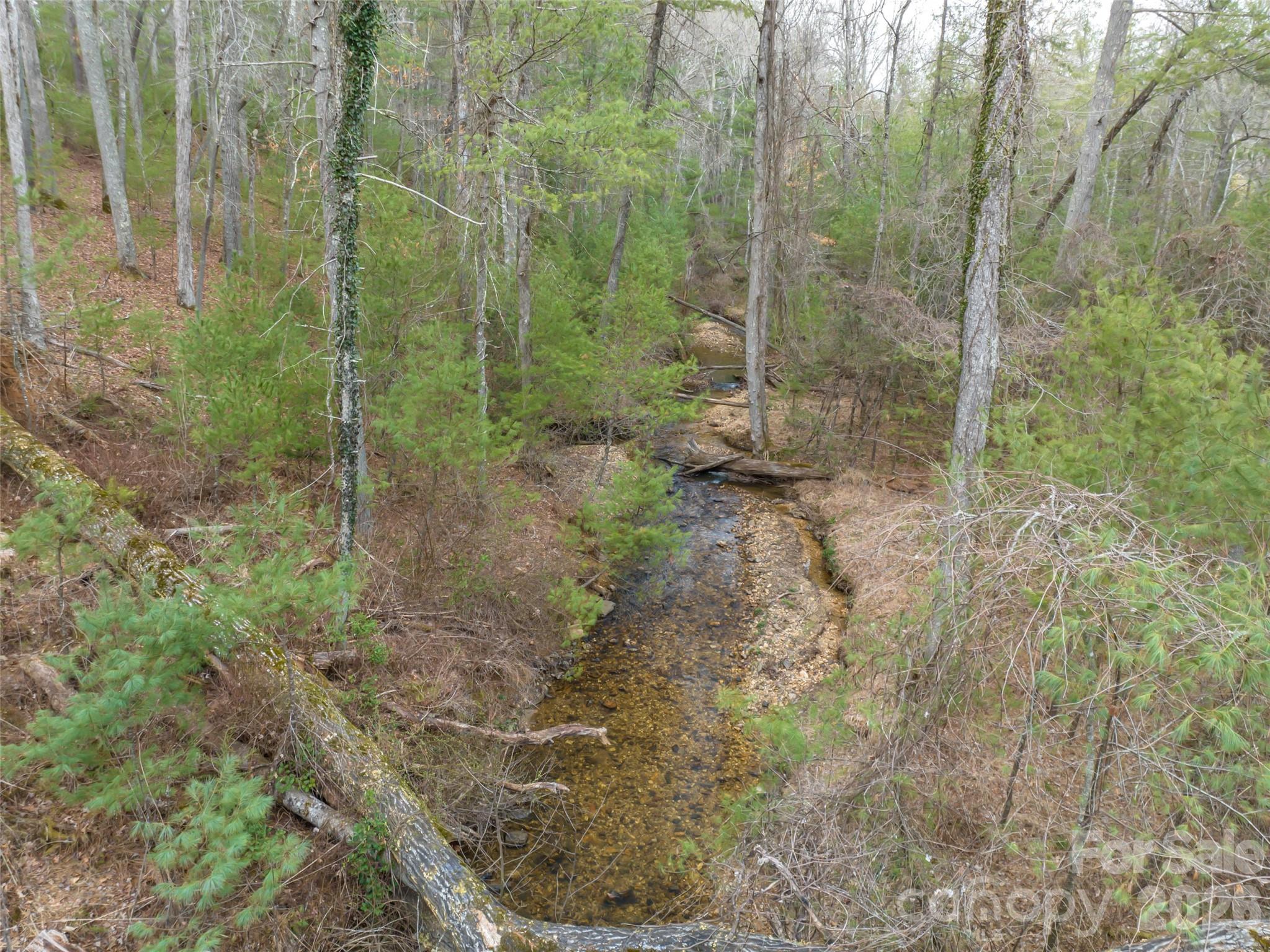 9999 Cedar Hill Drive Asheville NC 28803