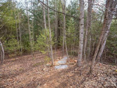 9999 Cedar Hill Drive Asheville NC 28803