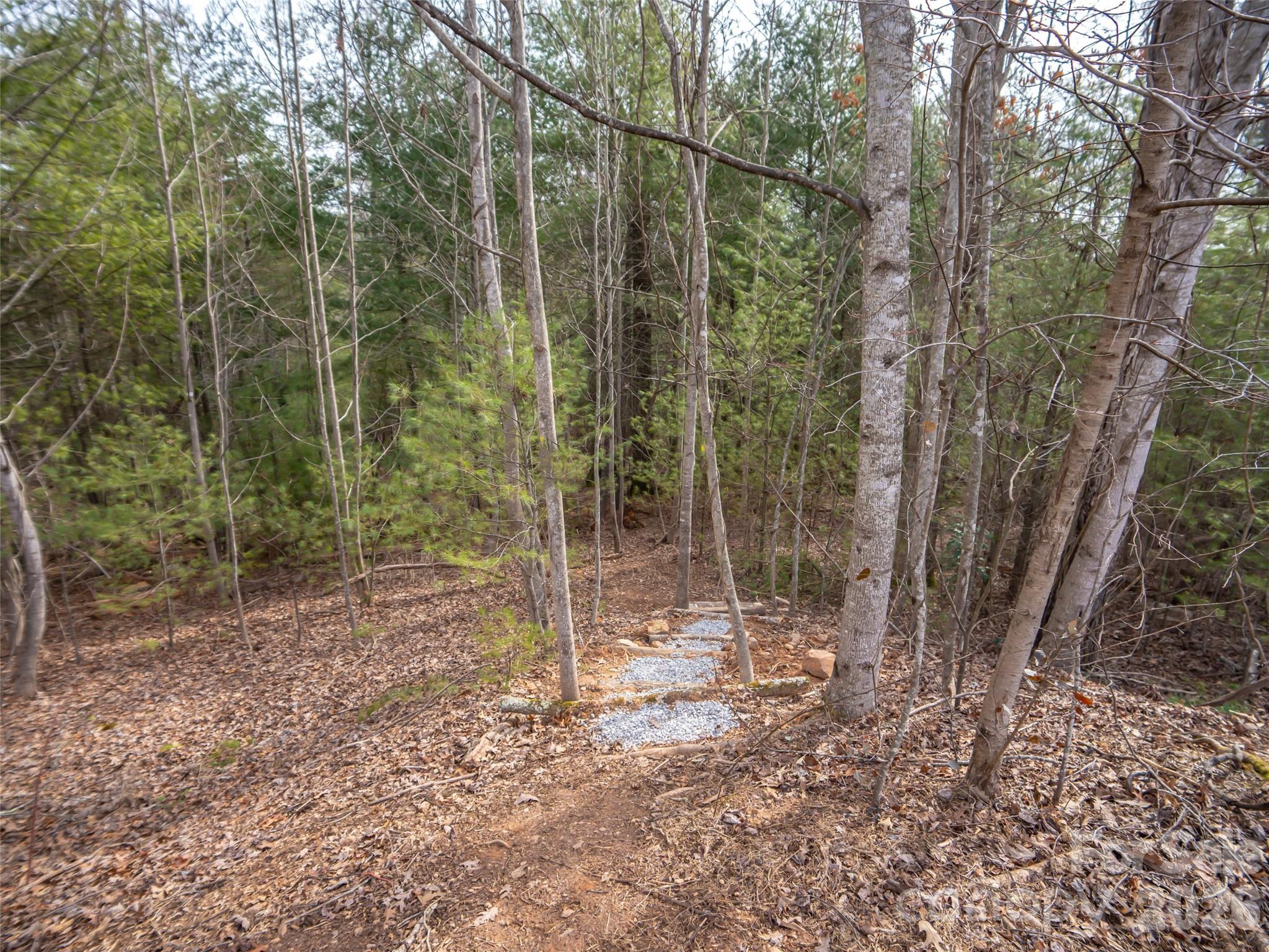 9999 Cedar Hill Drive Asheville NC 28803