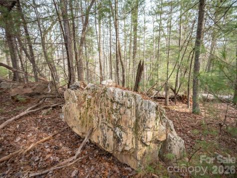 9999 Cedar Hill Drive Asheville NC 28803