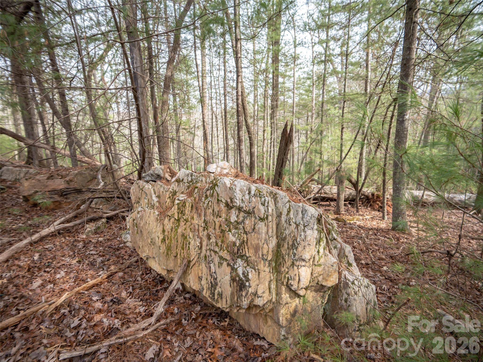 9999 Cedar Hill Drive Asheville NC 28803