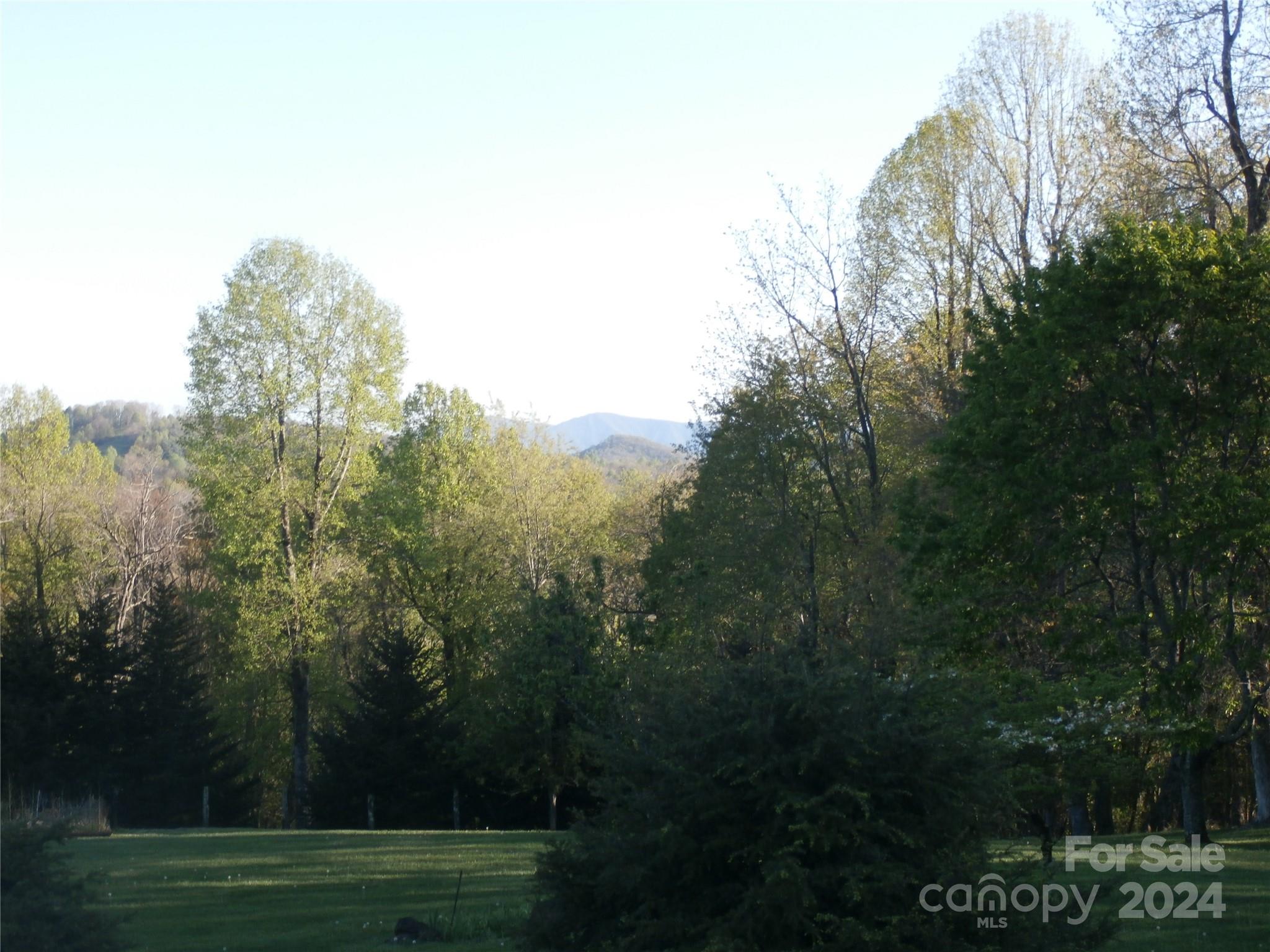 288 Firetower Road Spruce Pine NC 28777