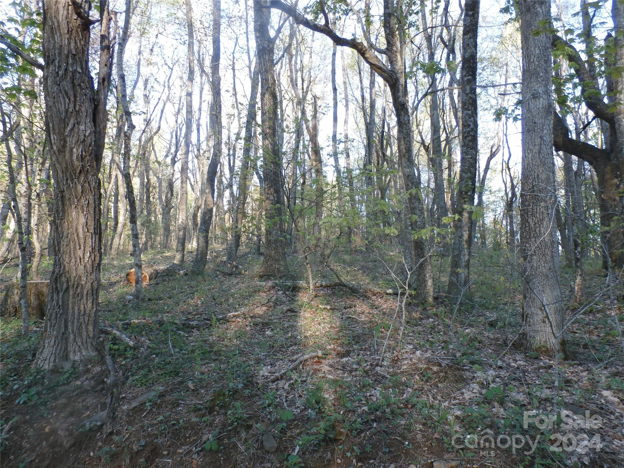 288 Firetower Road Spruce Pine NC 28777