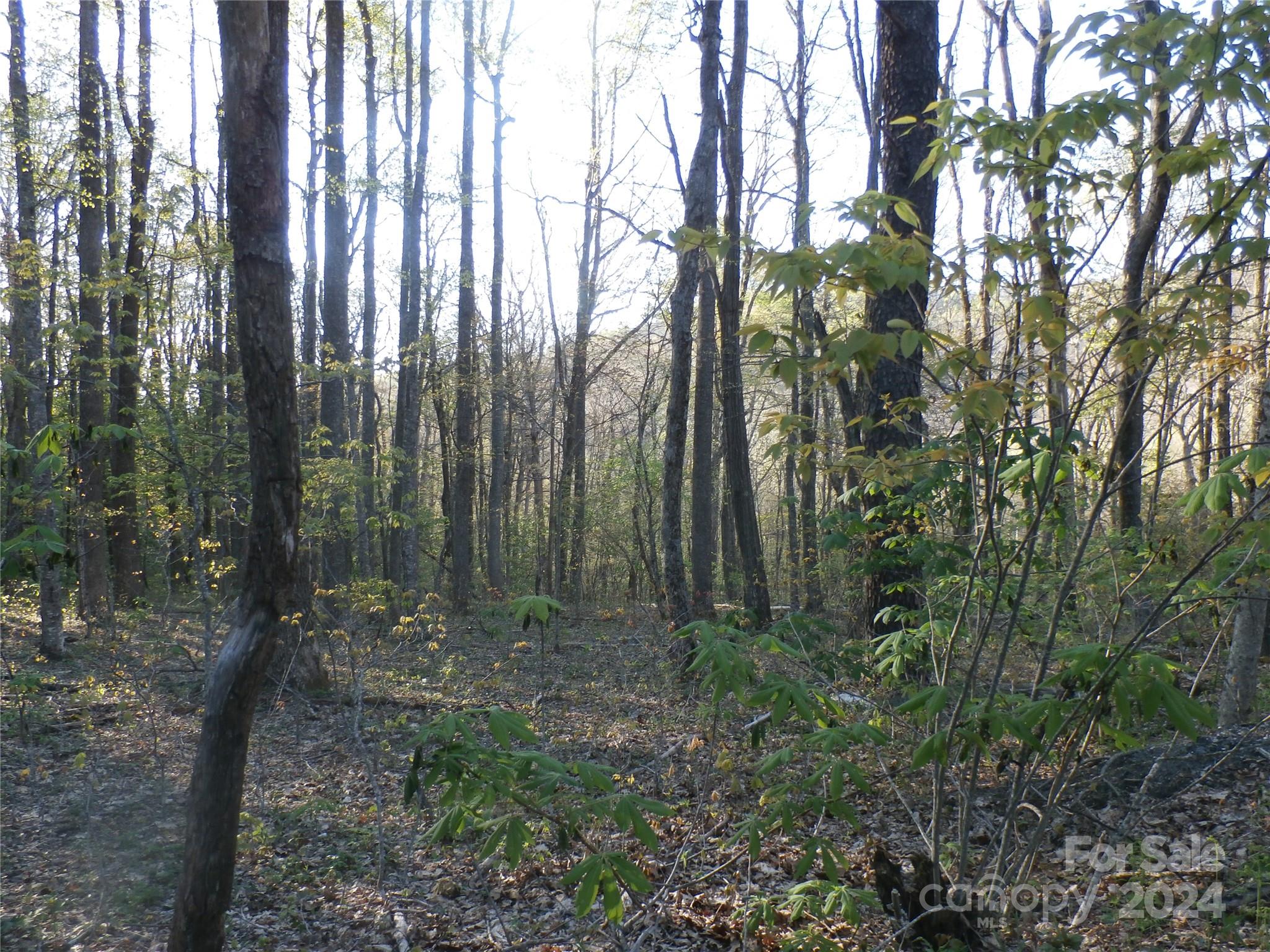288 Firetower Road Spruce Pine NC 28777
