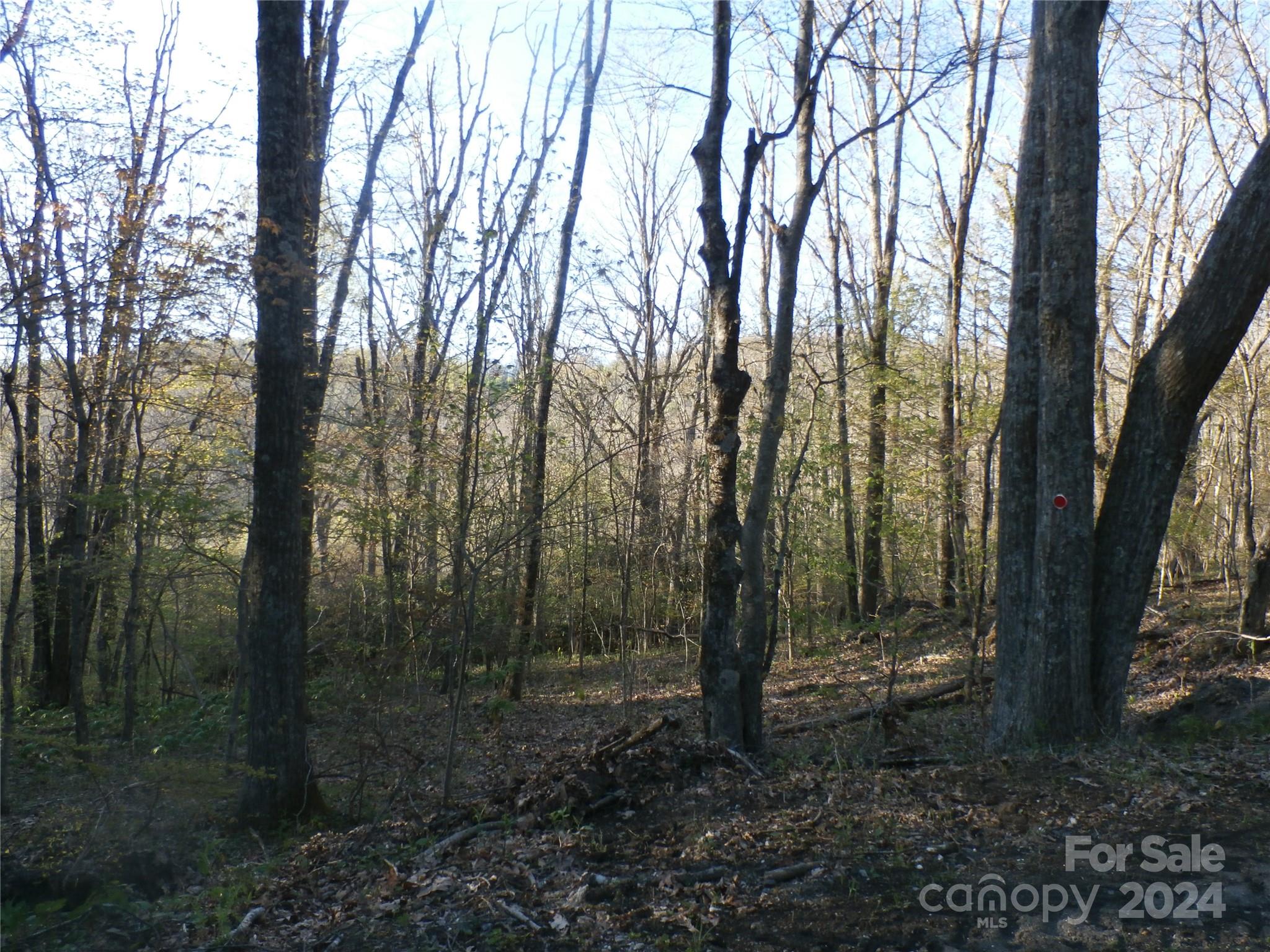 288 Firetower Road Spruce Pine NC 28777