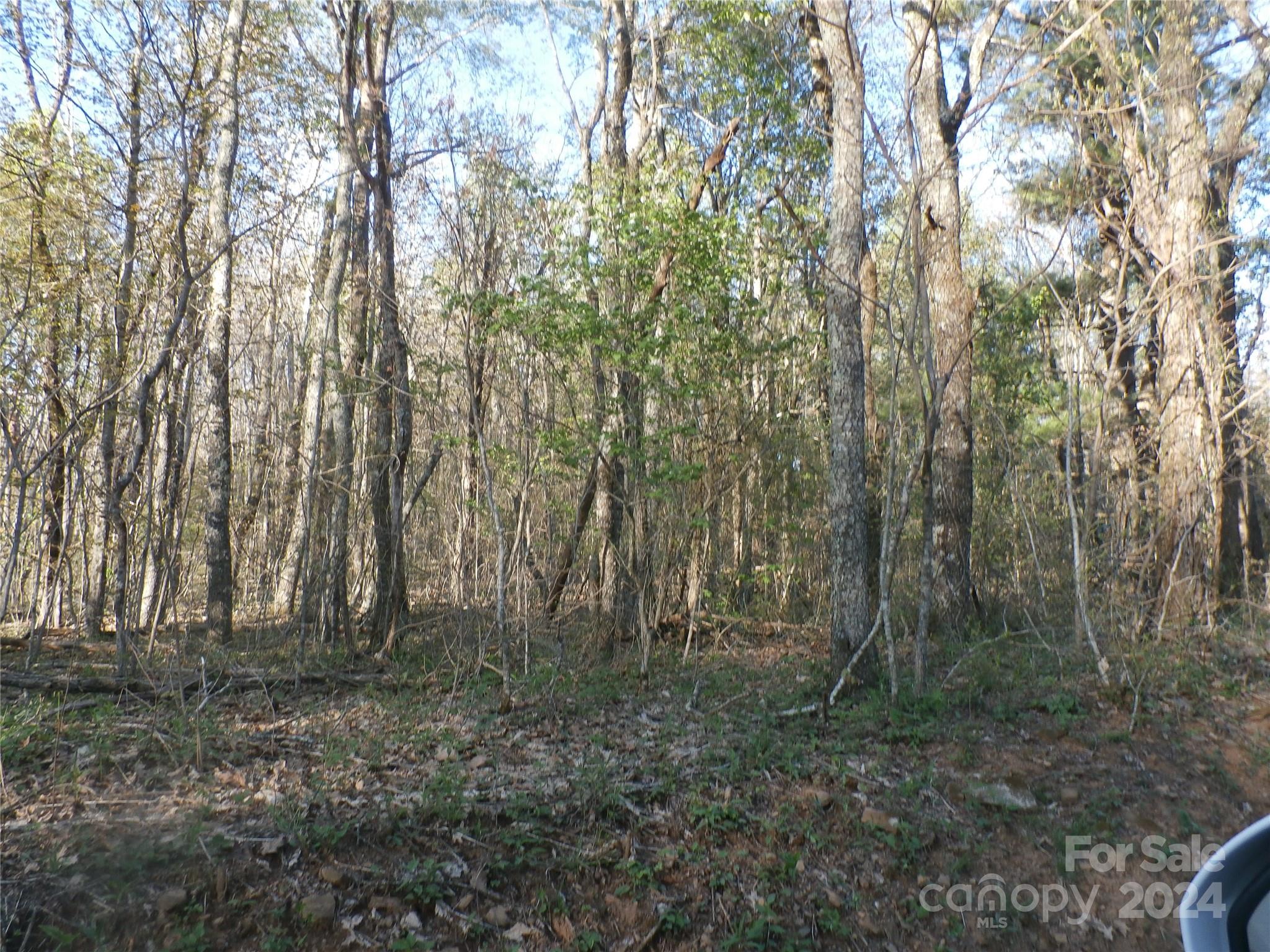 288 Firetower Road Spruce Pine NC 28777