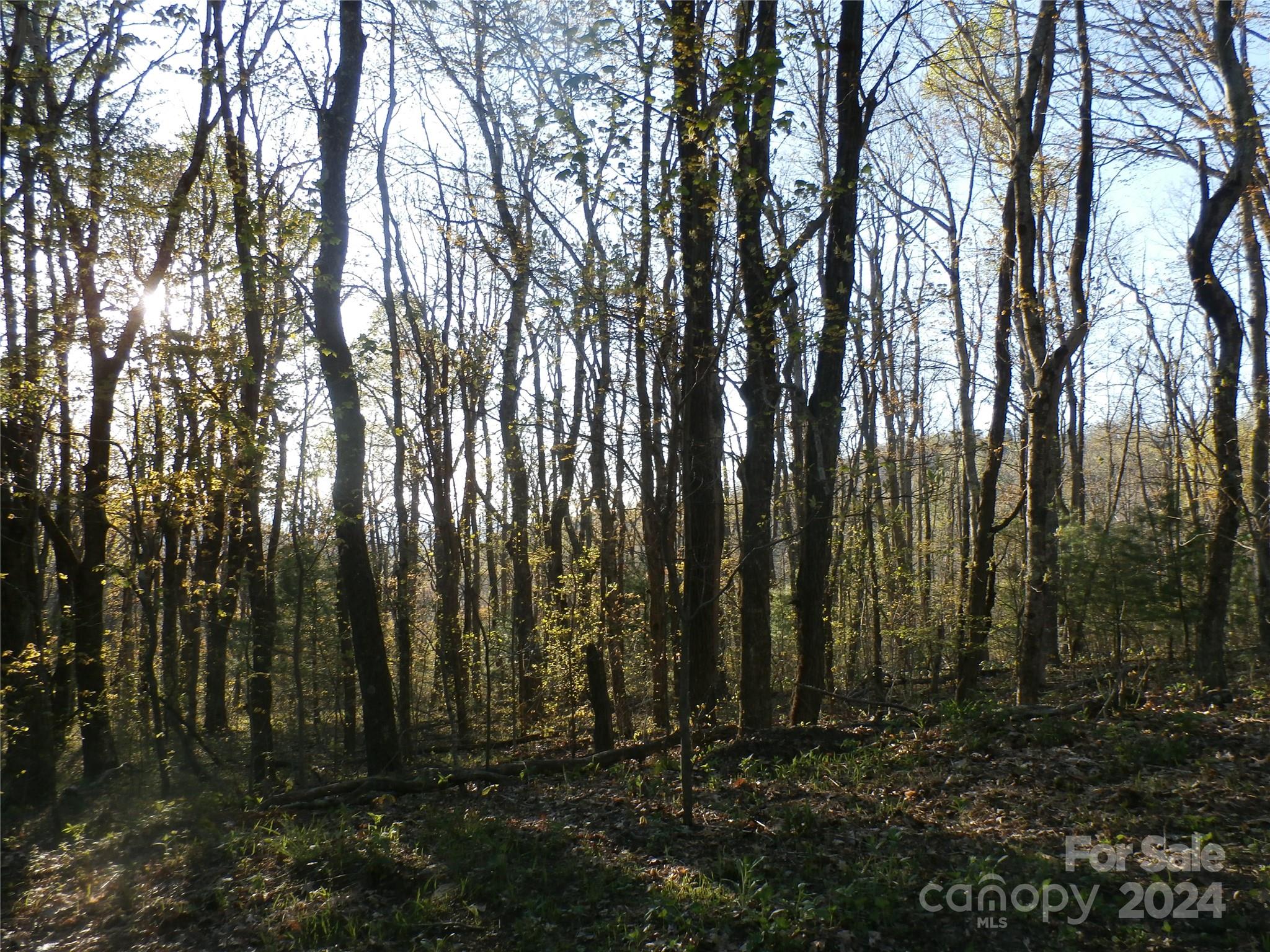 288 Firetower Road Spruce Pine NC 28777