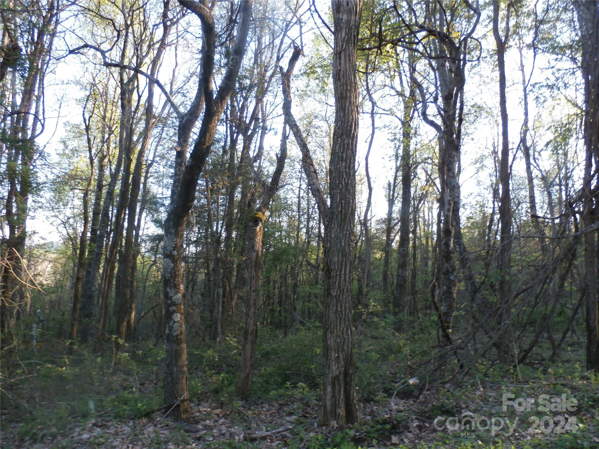 288 Firetower Road Spruce Pine NC 28777