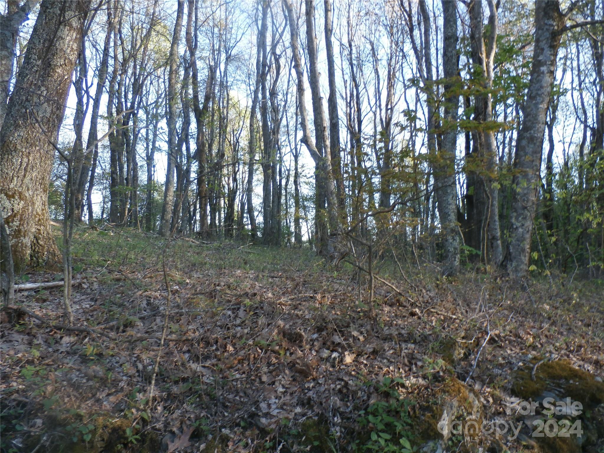 288 Firetower Road Spruce Pine NC 28777