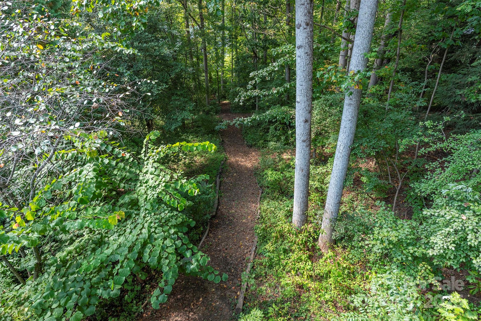 43 Vermont Court Asheville NC 28806