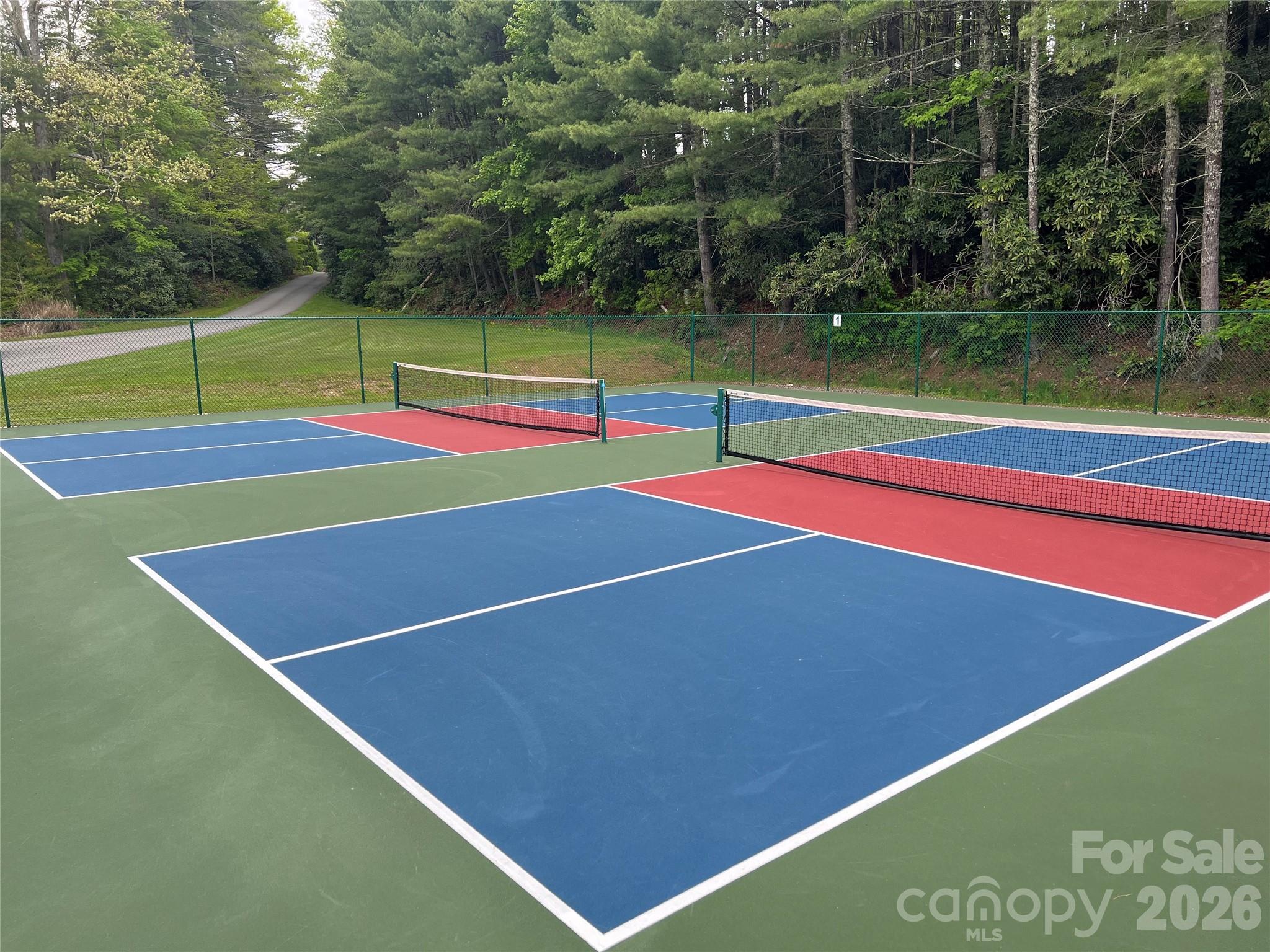 20 Lady Slipper Loop Newland NC 28657