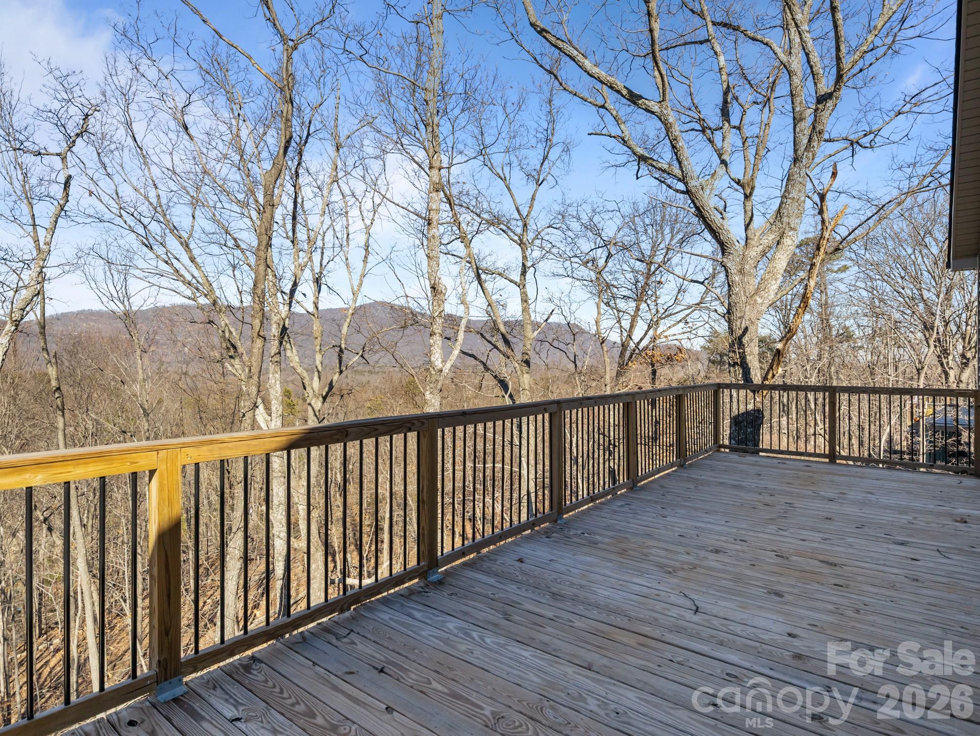 225 Aurora Lane Tryon NC 28782