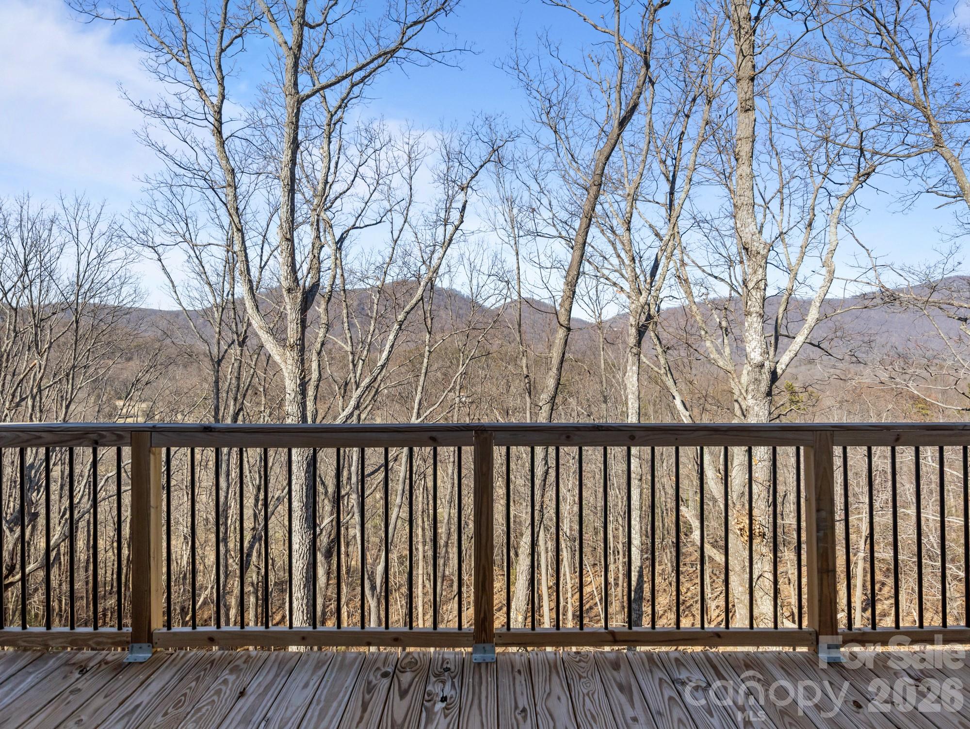 225 Aurora Lane Tryon NC 28782
