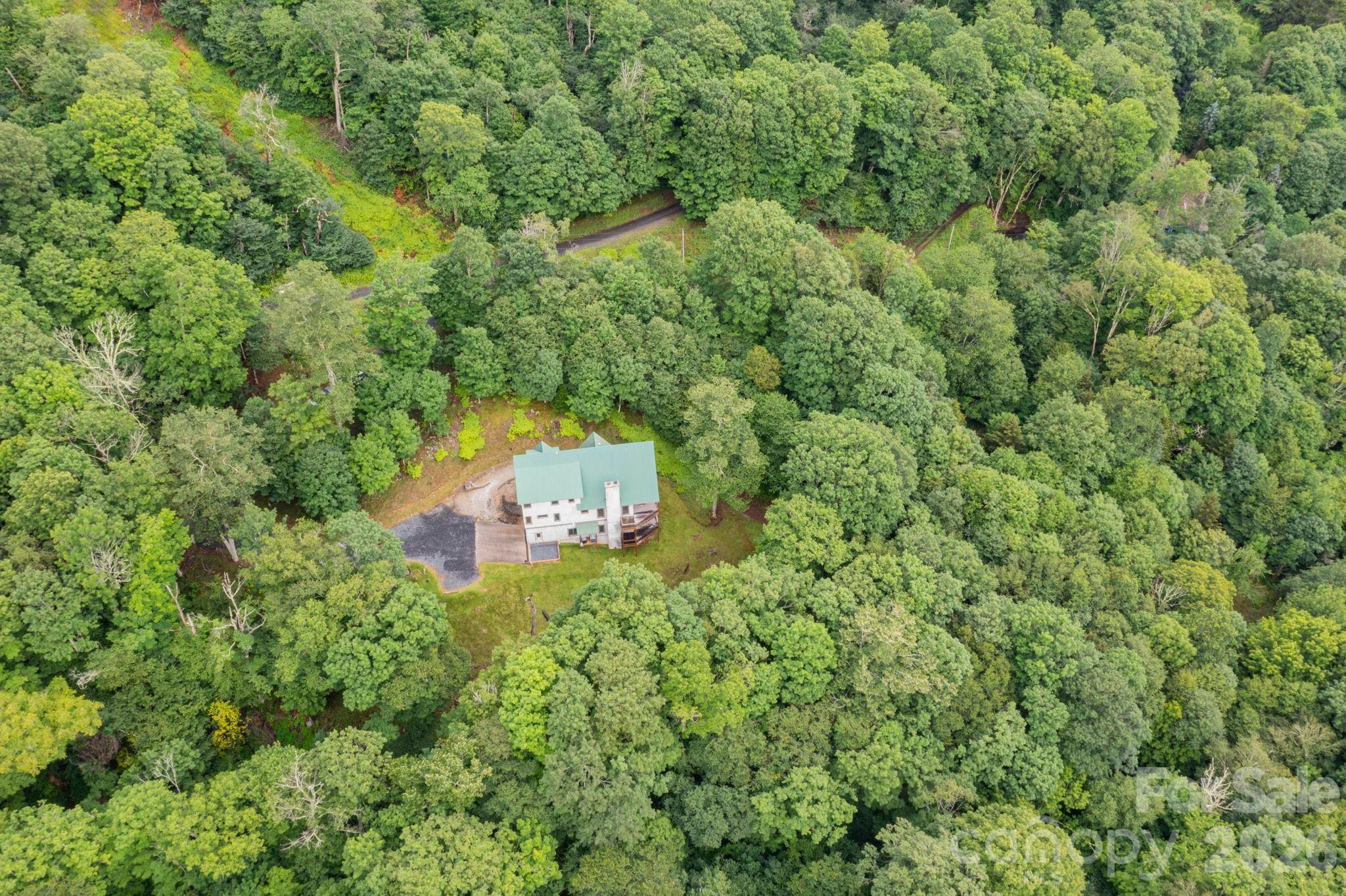 155 Mule Trail Drive Bakersville NC 28705