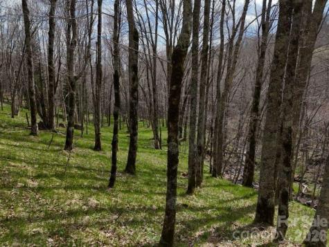 155 Mule Trail Drive Bakersville NC 28705