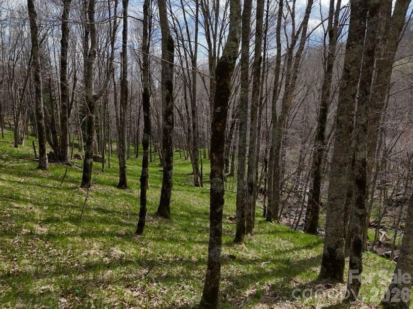 155 Mule Trail Drive Bakersville NC 28705