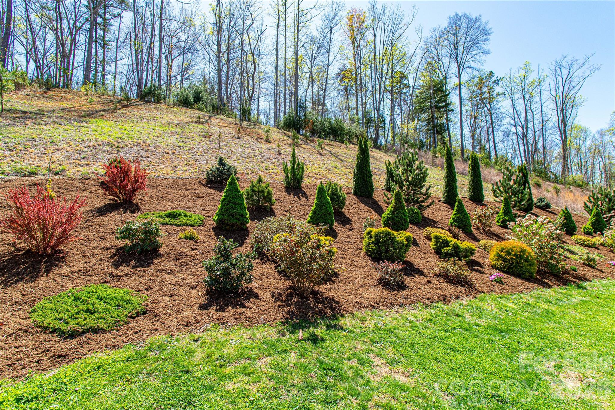 153 Water Leaf Drive Weaverville NC 28787