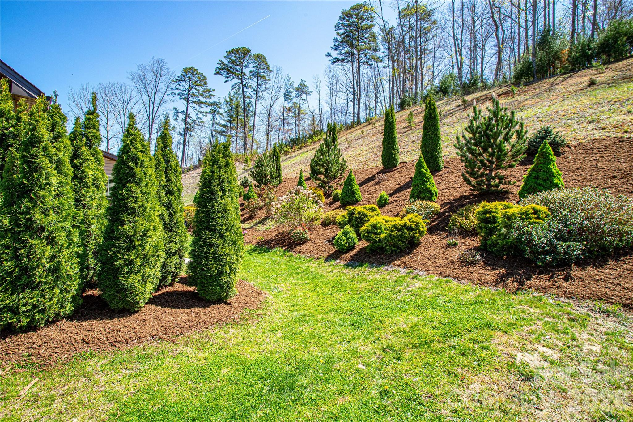 153 Water Leaf Drive Weaverville NC 28787