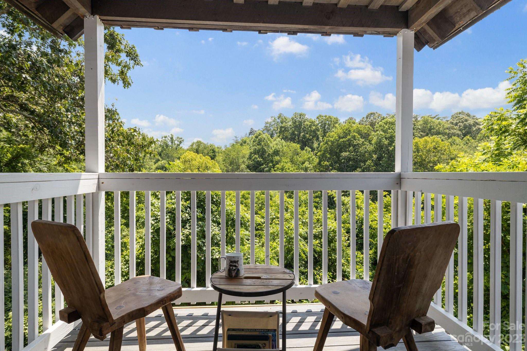 14 Collins Mountain Drive Asheville NC 28804