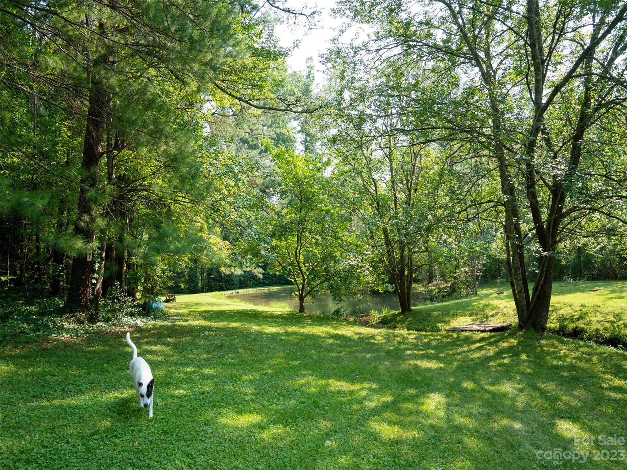 15 Oak Hill Lane Fairview NC 28730