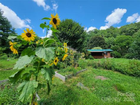 2978 Nc 9 Highway Black Mountain NC 28711