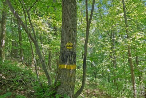 89 Apgar Road Candler NC 28715