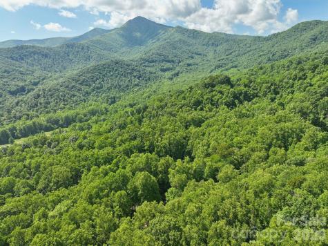 89 Apgar Road Candler NC 28715