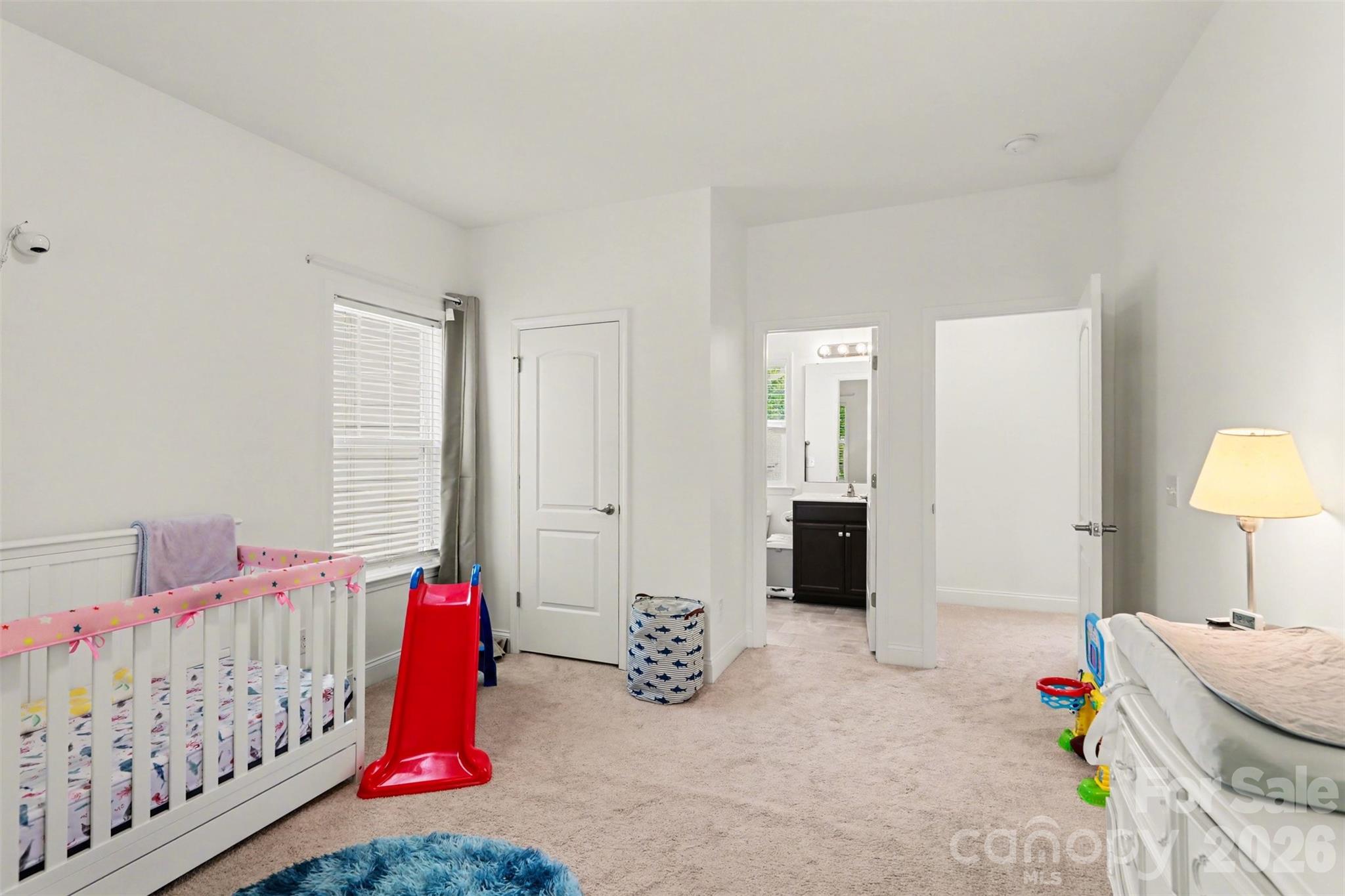 13712 Cinnabar Place Huntersville NC 28078