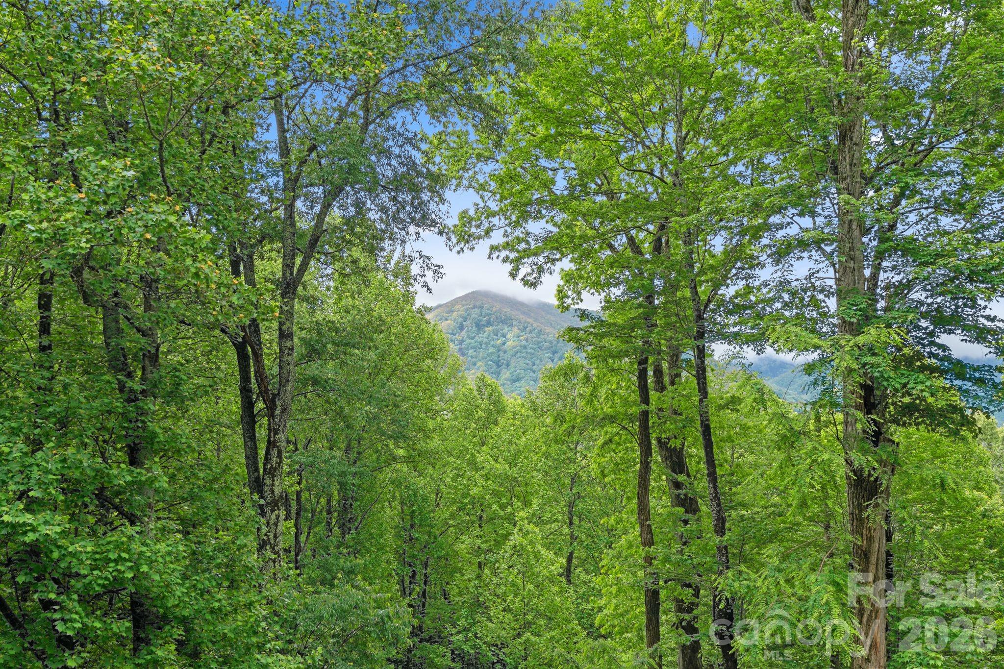 140 Slim Ridge Maggie Valley NC 28751