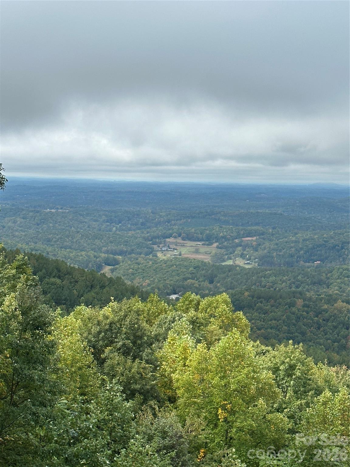 206 Amelia Lane Bostic NC 28018