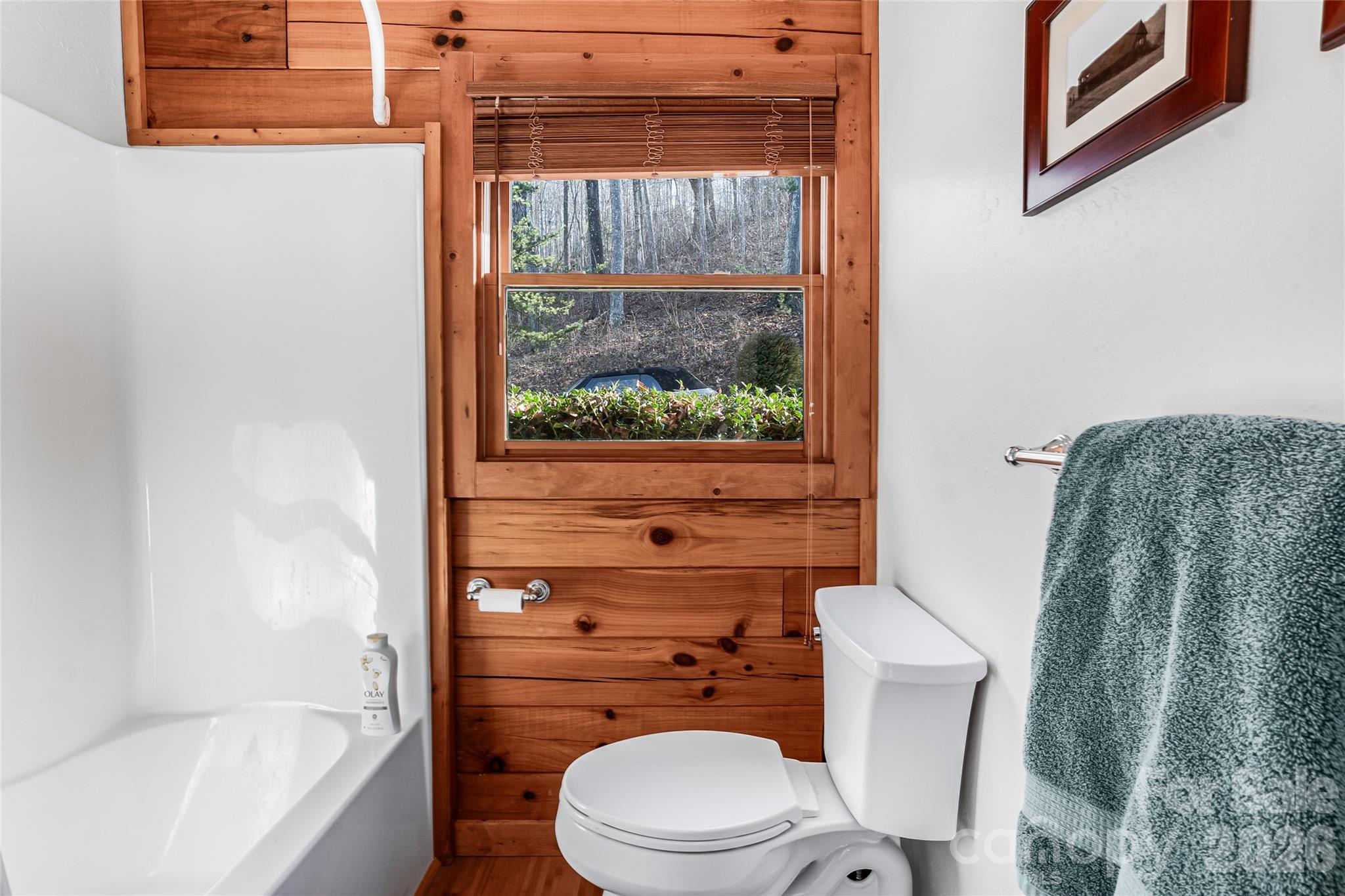 206 Amelia Lane Bostic NC 28018