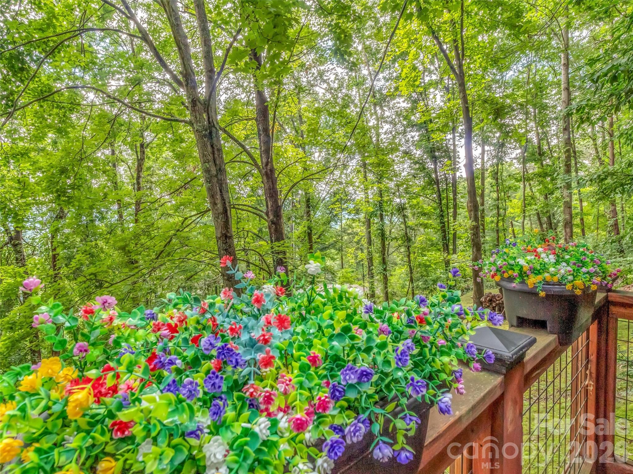 346 Wendy Way Clyde NC 28721