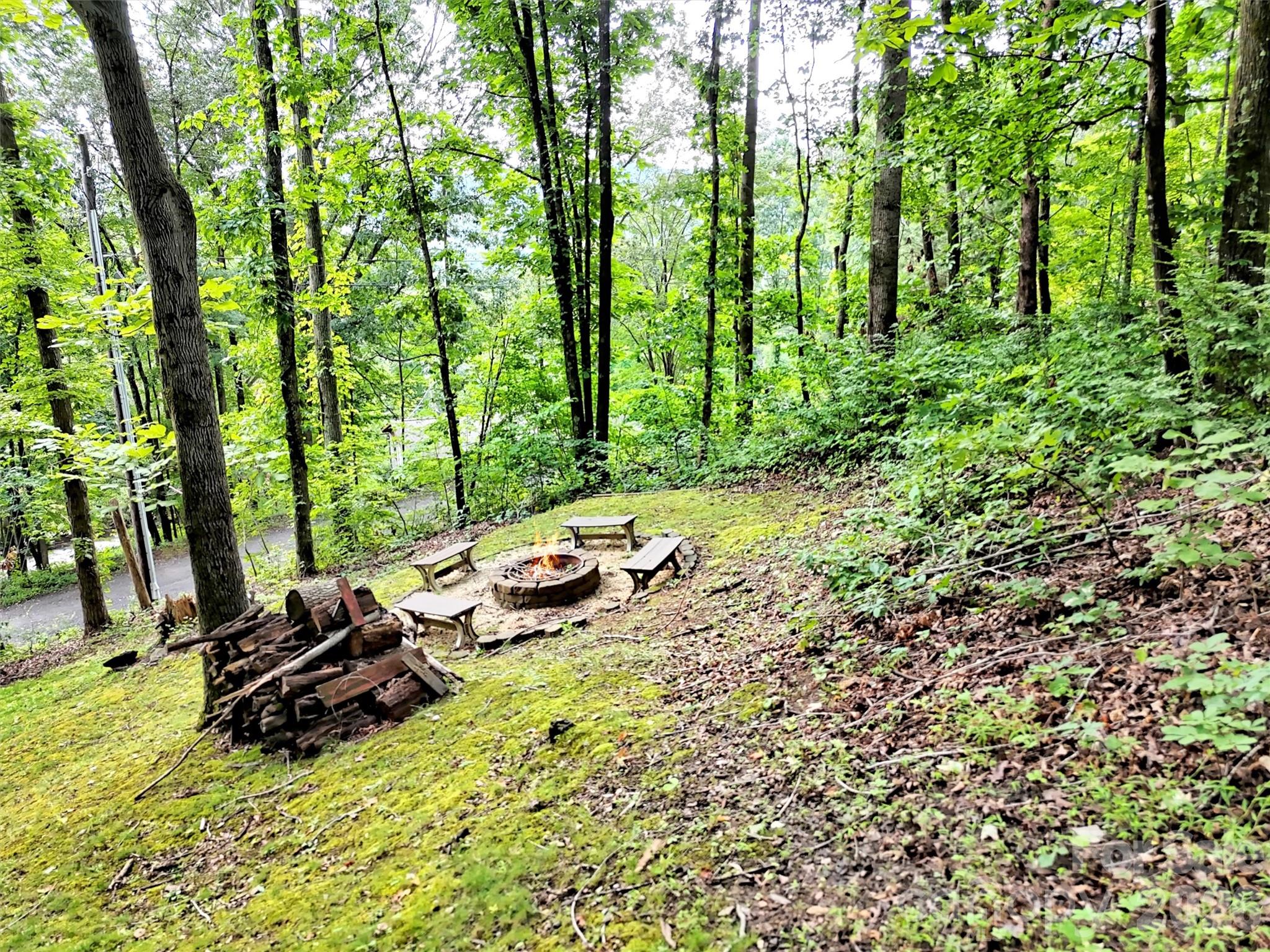 346 Wendy Way Clyde NC 28721