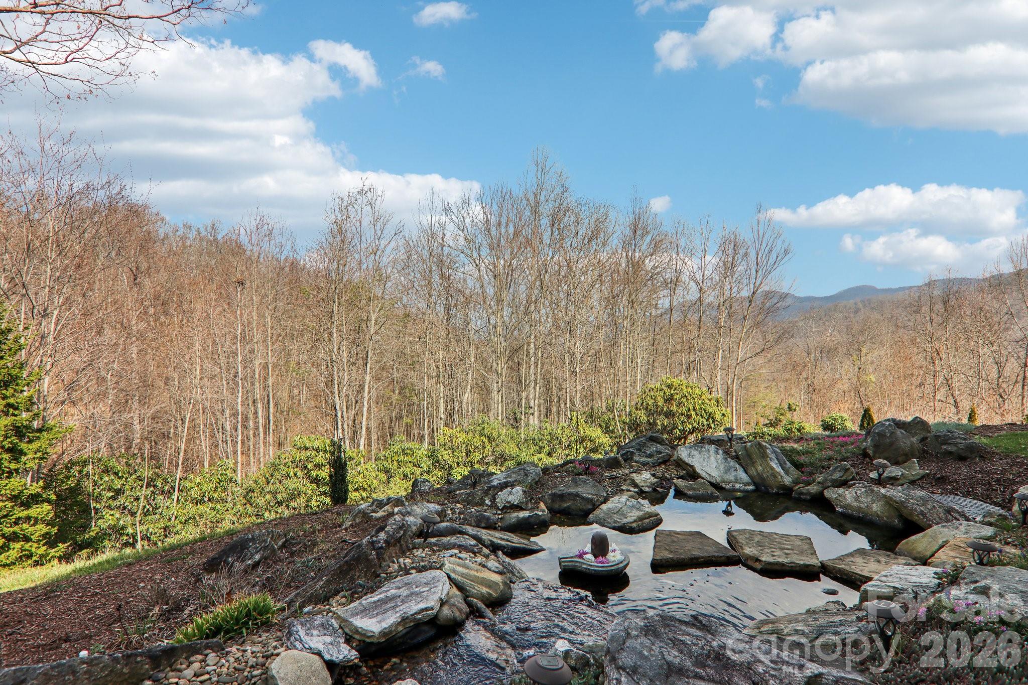 14 Chandra Lane Clyde NC 28721