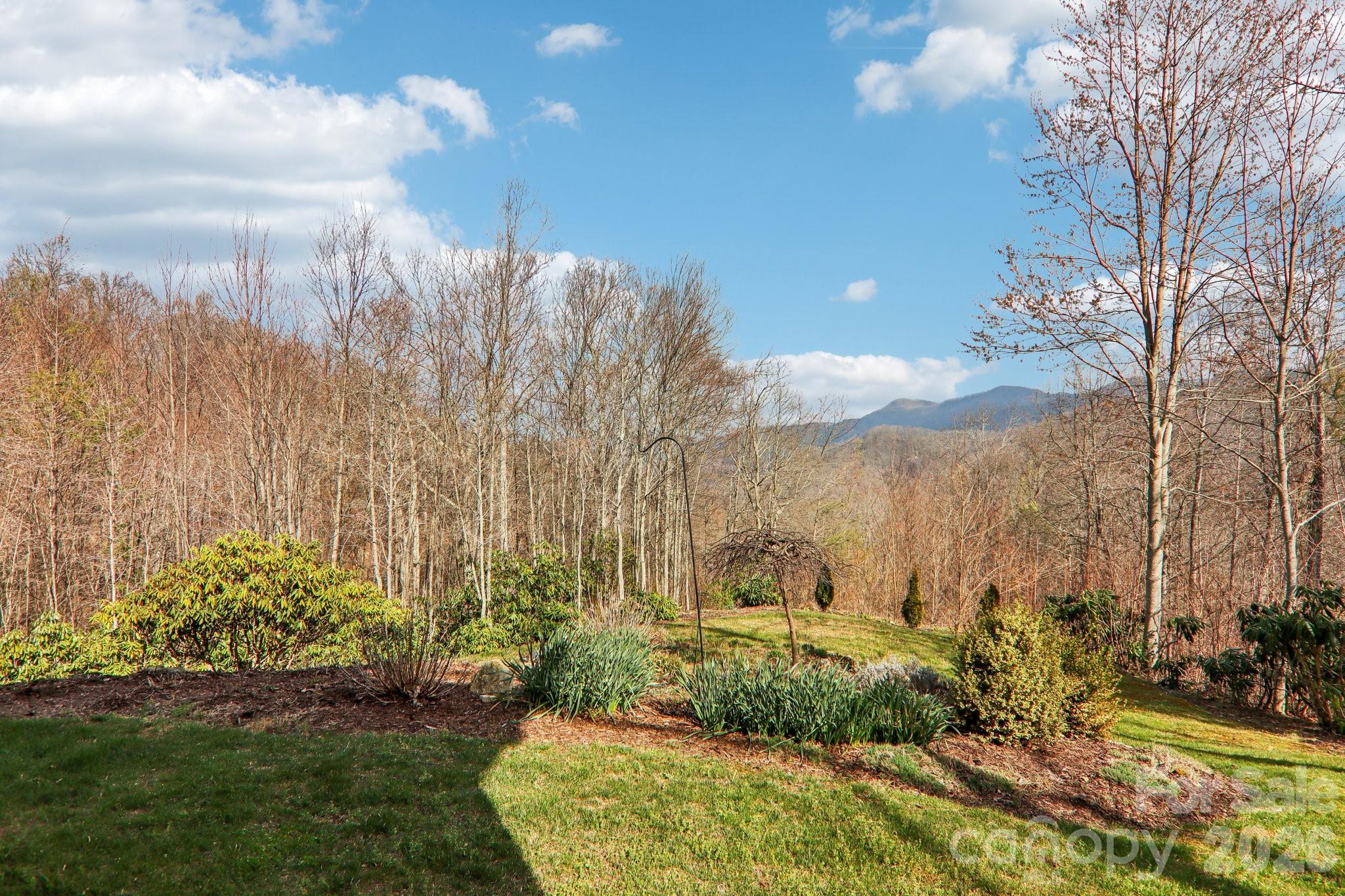 14 Chandra Lane Clyde NC 28721