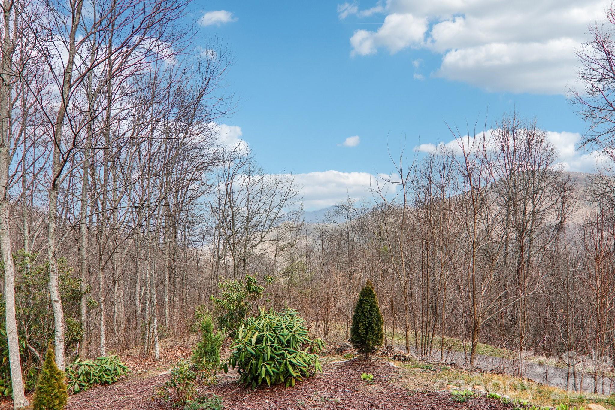 14 Chandra Lane Clyde NC 28721