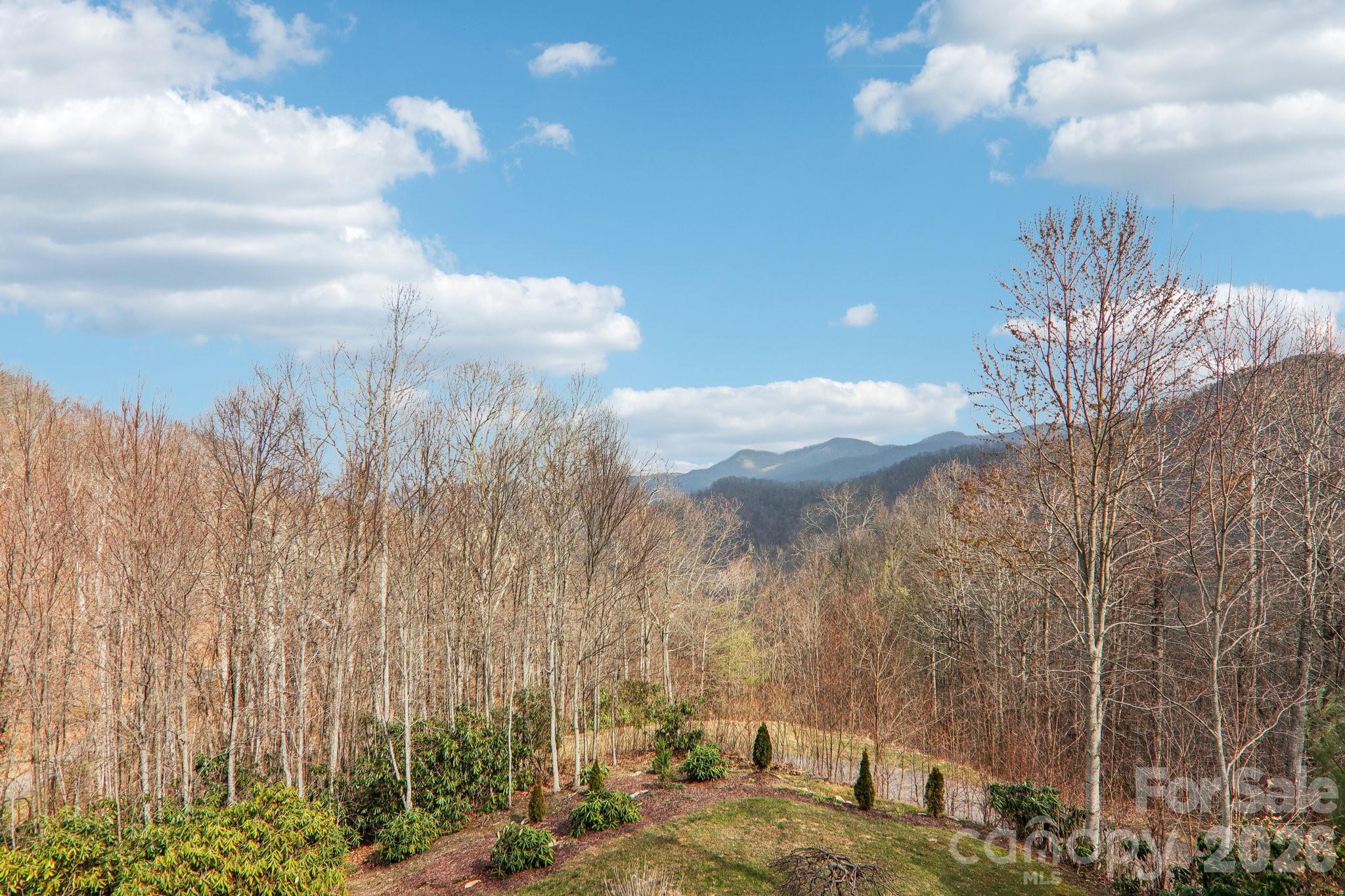 14 Chandra Lane Clyde NC 28721
