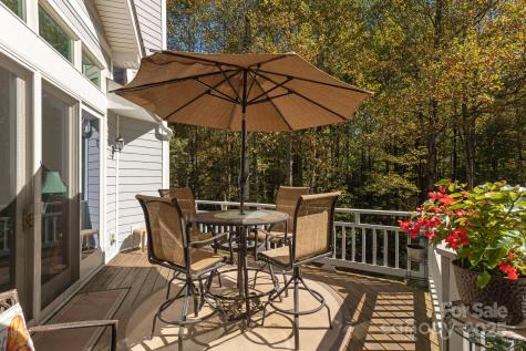 115 Chancery Court Flat Rock NC 28731