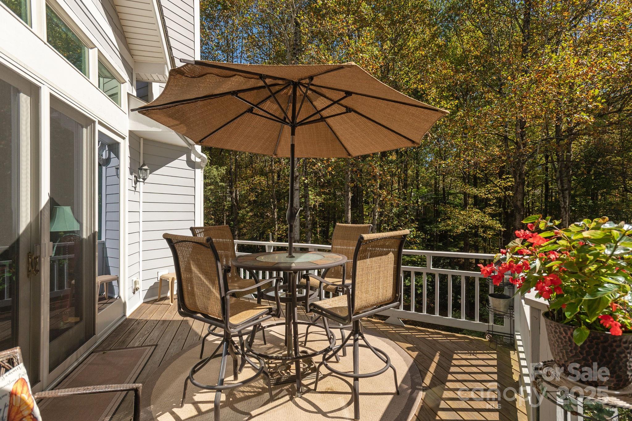 115 Chancery Court Flat Rock NC 28731