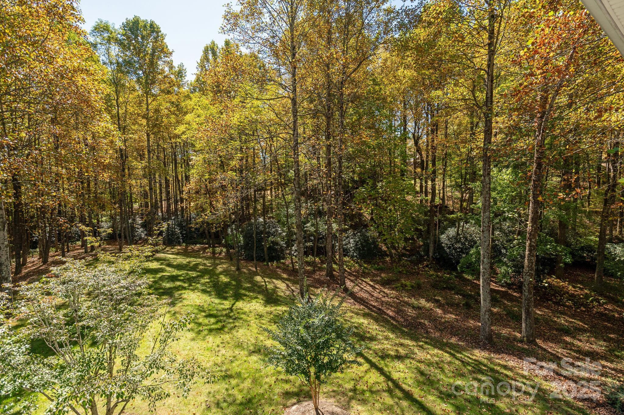 115 Chancery Court Flat Rock NC 28731