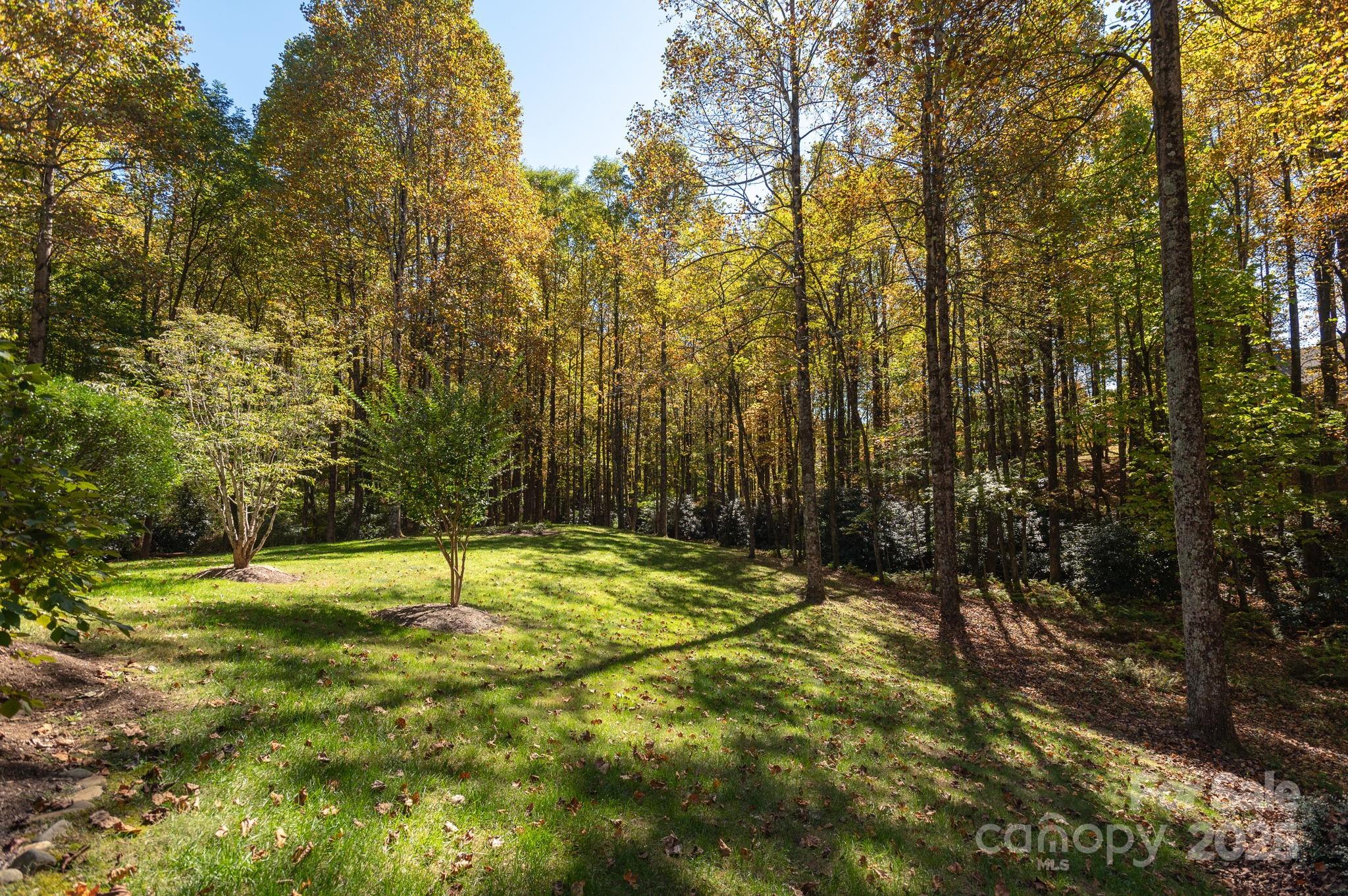 115 Chancery Court Flat Rock NC 28731