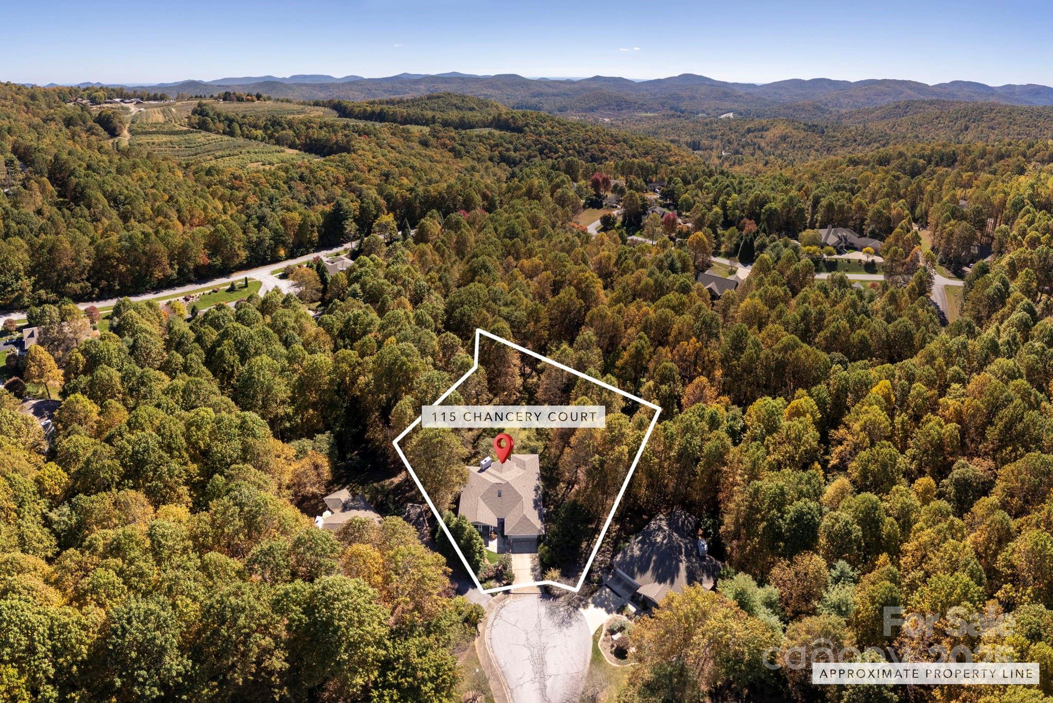 115 Chancery Court Flat Rock NC 28731