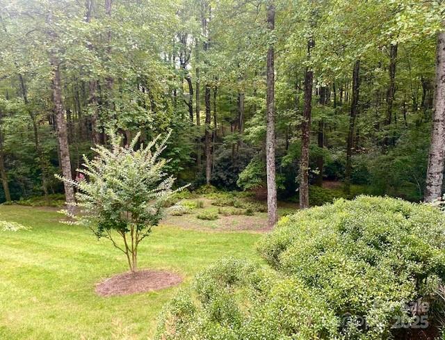 115 Chancery Court Flat Rock NC 28731