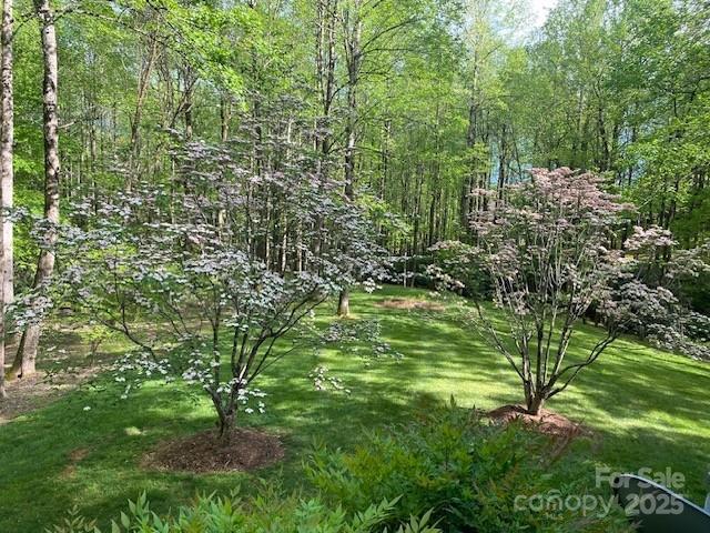 115 Chancery Court Flat Rock NC 28731