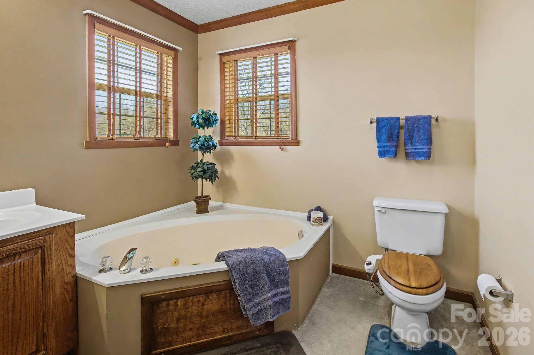 74 Chambers Road Weaverville NC 28787